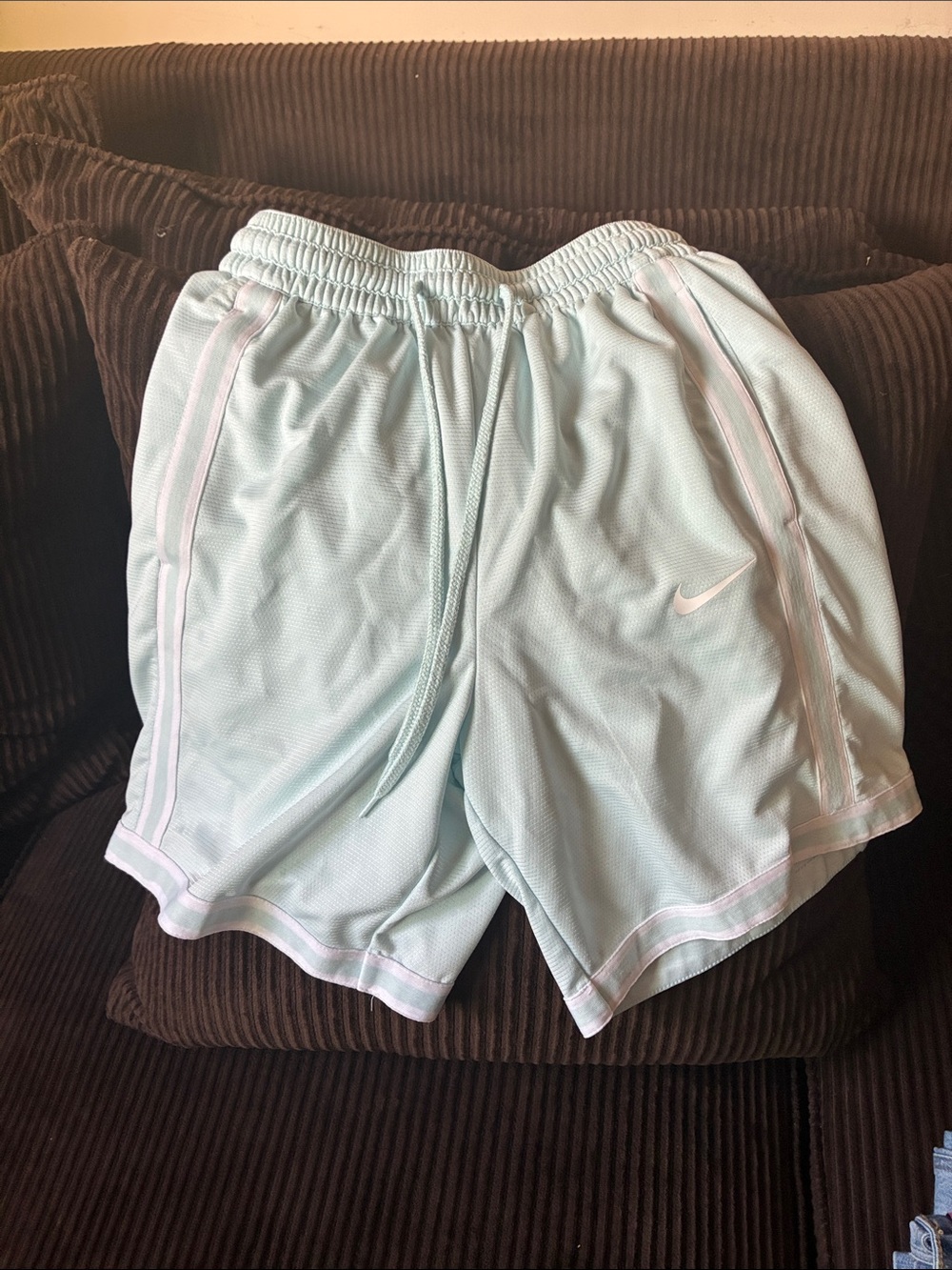 Nike Mint Blue Athletic Shorts with White Accents